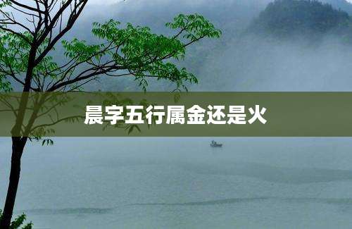 晨字五行属金还是火