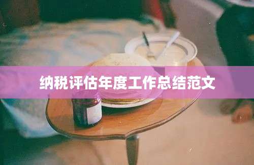 纳税评估年度工作总结范文