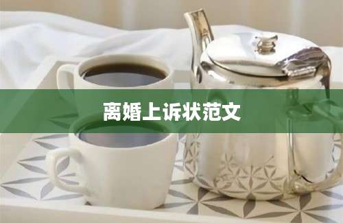 离婚上诉状范文