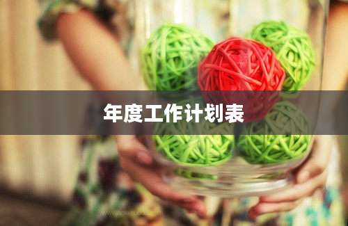 年度工作计划表