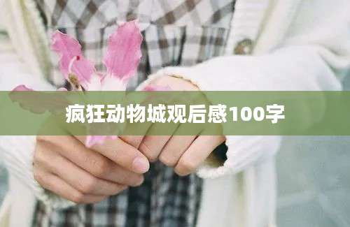 疯狂动物城观后感100字