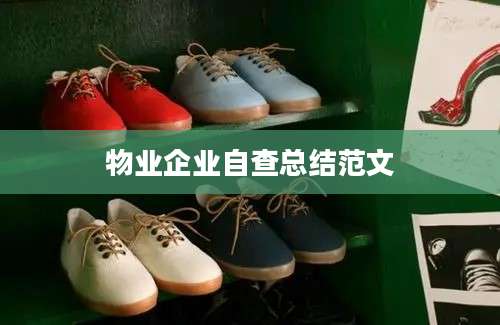物业企业自查总结范文