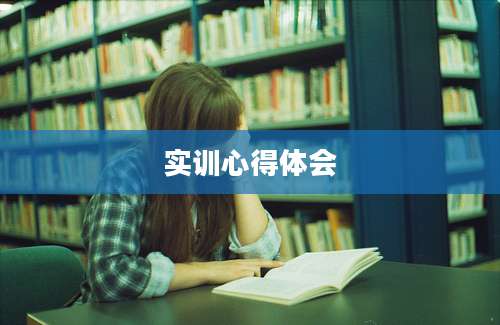 实训心得体会