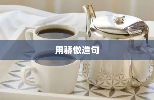 用骄傲造句