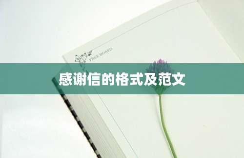 感谢信的格式及范文