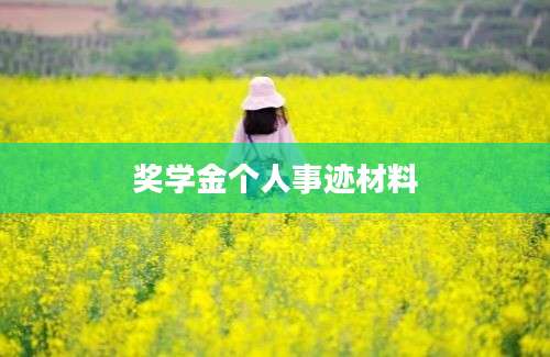 奖学金个人事迹材料