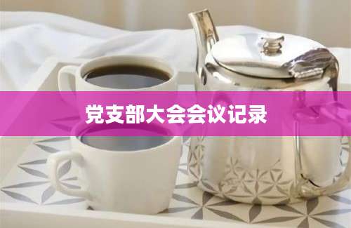 党支部大会会议记录