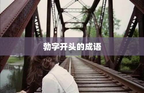 勃字开头的成语