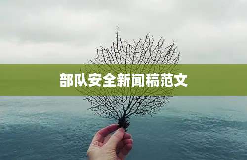 部队安全新闻稿范文