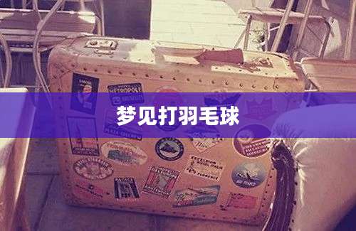 梦见打羽毛球
