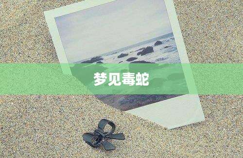 梦见毒蛇