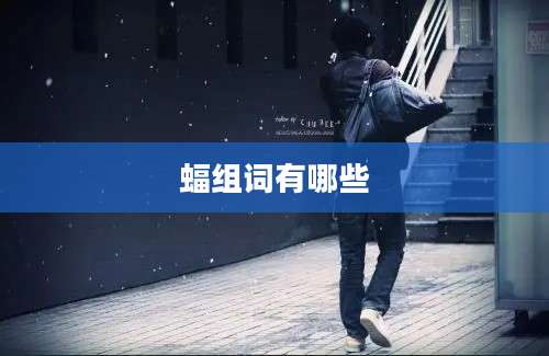 蝠组词有哪些