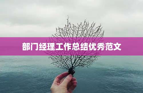 部门经理工作总结优秀范文