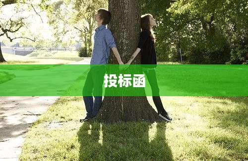 投标函