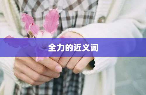 全力的近义词