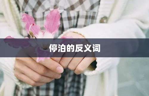 停泊的反义词
