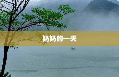 妈妈的一天