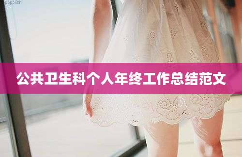 公共卫生科个人年终工作总结范文