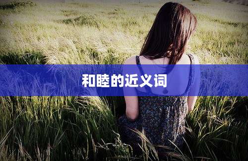 和睦的近义词
