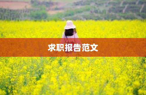 求职报告范文