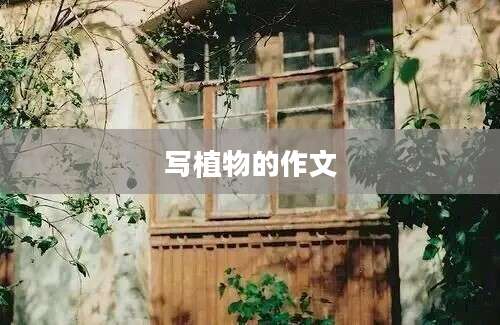 写植物的作文