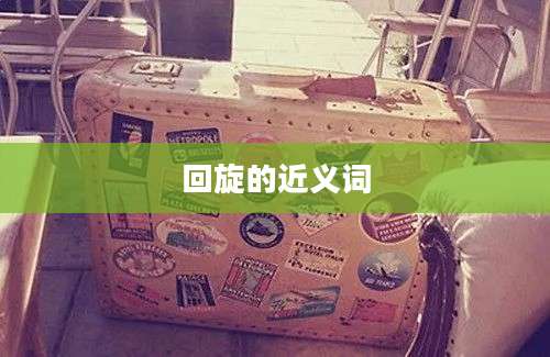 回旋的近义词