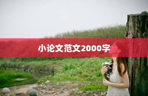 小论文范文2000字