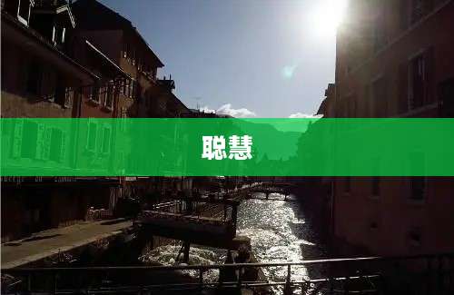 聪慧