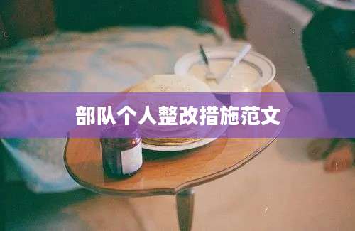 部队个人整改措施范文