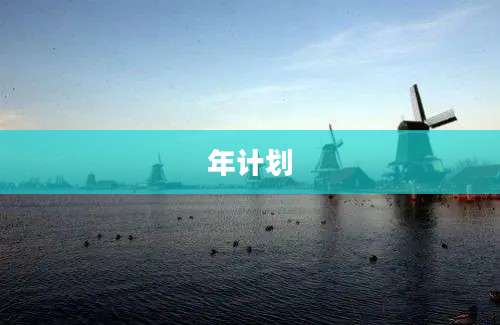 年计划