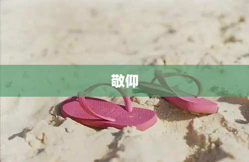 敬仰