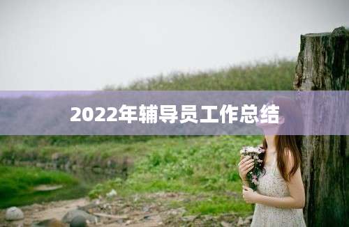 2022年辅导员工作总结