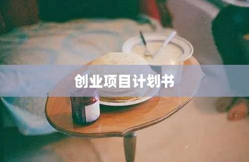 创业项目计划书