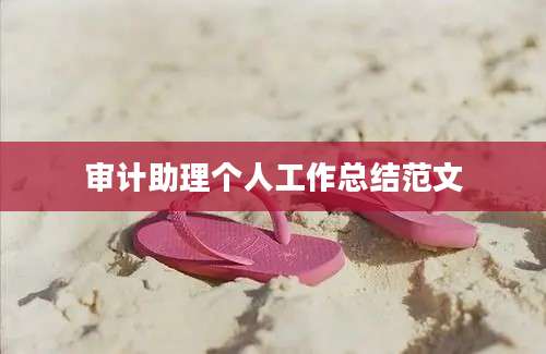 审计助理个人工作总结范文