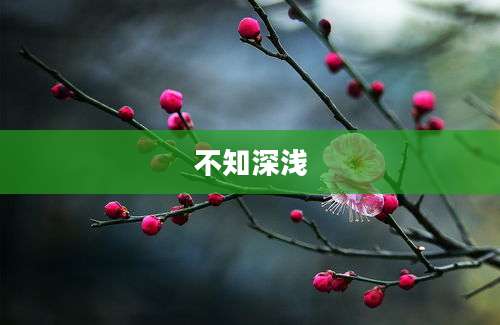 不知深浅