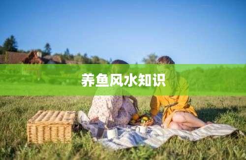养鱼风水知识