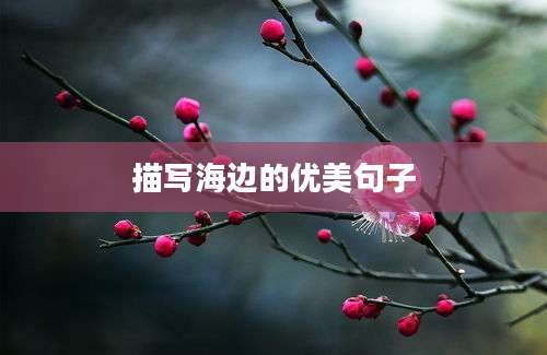 描写海边的优美句子