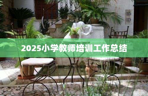 2025小学教师培训工作总结