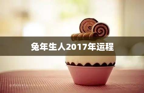 兔年生人2017年运程