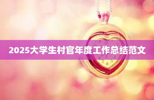 2025大学生村官年度工作总结范文