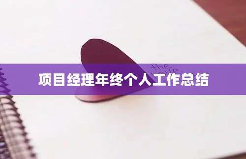 项目经理年终个人工作总结