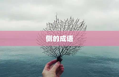 侧的成语