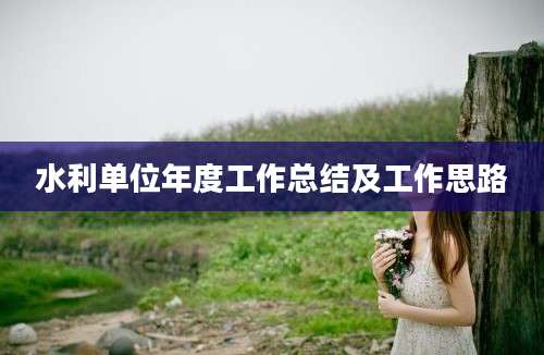 水利单位年度工作总结及工作思路