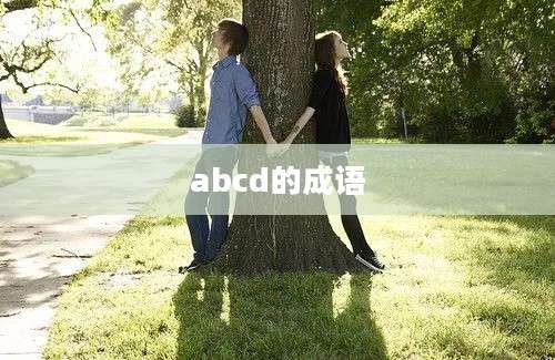 abcd的成语