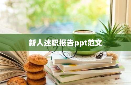新人述职报告ppt范文