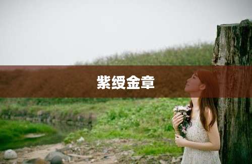 紫绶金章