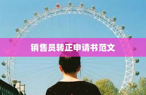 销售员转正申请书范文