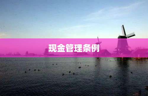 现金管理条例