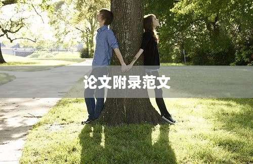 论文附录范文