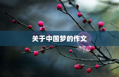 关于中国梦的作文